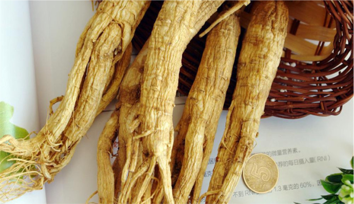 Báo 24h nói gì về Nghị Gia