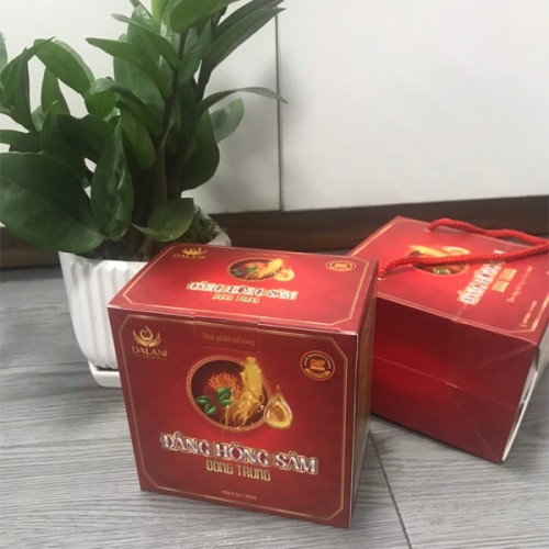 Đẳng Hồng Sâm hộp nhỏ